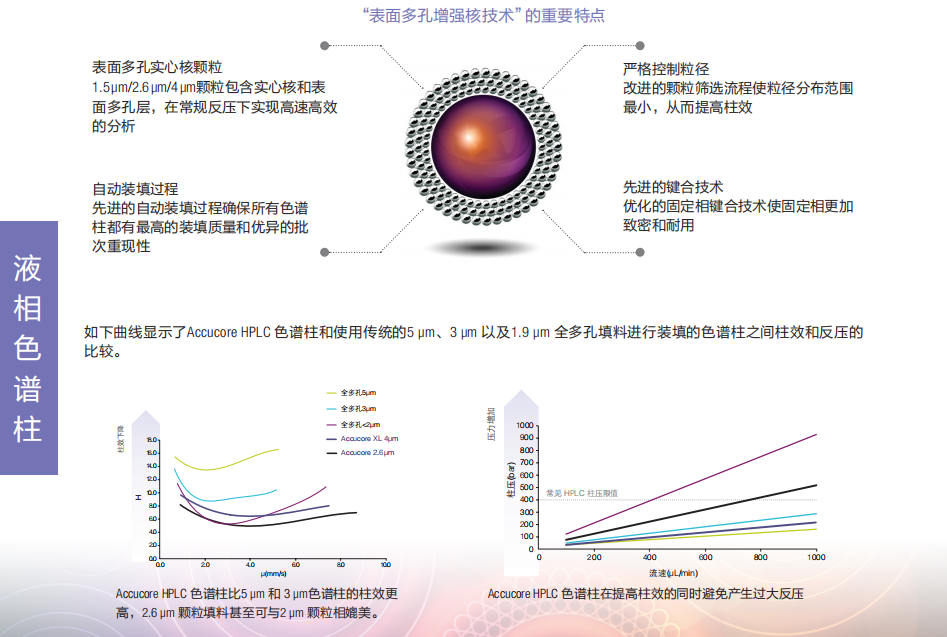 Thermo Accucore HPLC 色譜柱1.png